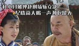 刀下留人国语在线观看,生死边缘的正义抉择，在线观看揭秘真相